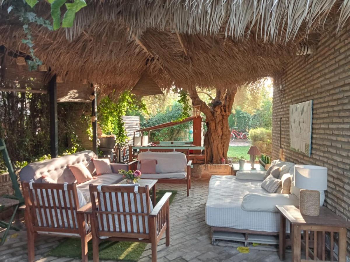 Dormir Entre Limones, Casa De Invitados En Vivienda Familiar Dos Hermanas Dış mekan fotoğraf
